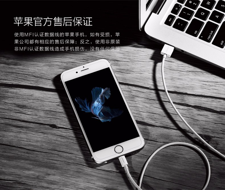 绿联MFi认证苹果数据线