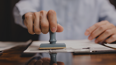 具有合法的独立法人资质或持有合法营业执照的经营者